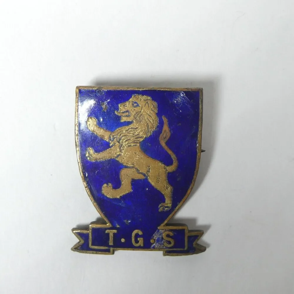 TGS Takapuna Grammar School New Zealand Lion Shield Pin Blue Enamel Vintage